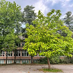Hauptgebäude Schulhofseite Detailaufnahme