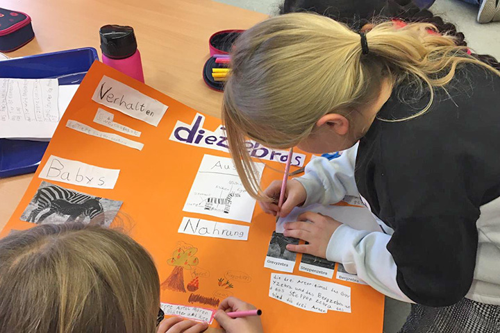 Tierplakate an der Emil-von-Behring-Schule